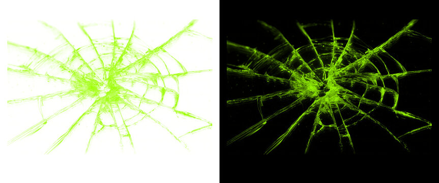 Green cracked glass texture overlay set, shattered window pane effect on black and white backgrounds, broken screen graphic design elements