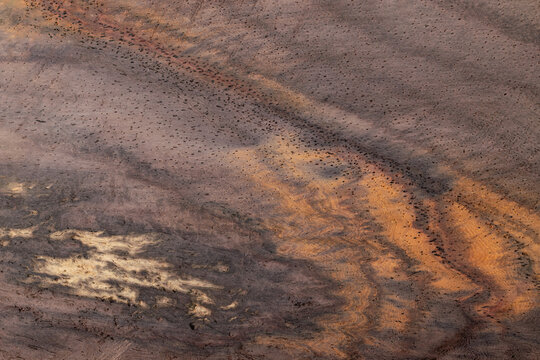 Close-up detailed macro texture of dark Indonesian rosewood (sonokeling) timber surface showing natural brown grain patterns, fiber lines, and unique exotic wood background.