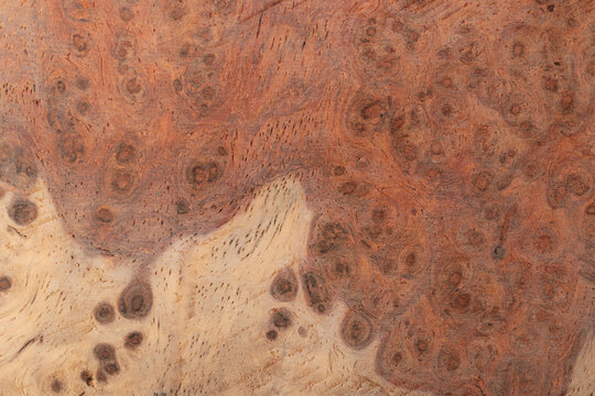 Detailed macro texture of natural amboyna wood burl featuring two-tone sapwood and heartwood with rich swirling grain patterns, eye spots, and organic timber surface structure.