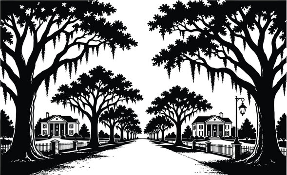 historic avenue lined with majestic live oak trees draped in spanish moss leading toward elegant southern estates creating one of georgia most recognizable landscapes for commercial vector
