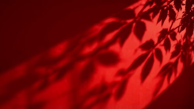 AI generated video of soft botanical leaf and flower shadows gently moving across a rich red background, creating an elegant atmospheric composition with generous copy space