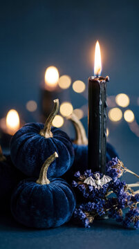 Elegant navy velvet pumpkins beside dripping black candle and purple dried flowers