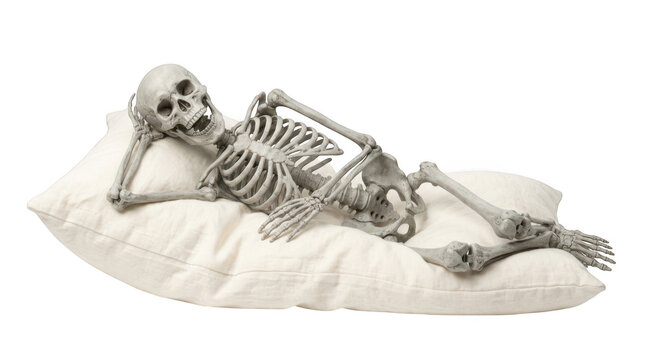 Human skeleton lying on a white pillow isolated on transparent background