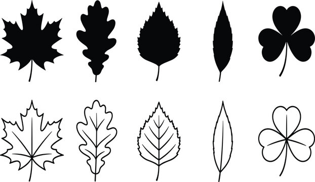 PrintLeaf Silhouettes and Outline Vector Collection Featuring Maple, Oak, Birch, Willow, and Clover ShapesLeaf Silhouettes and Outline Vector Collection Featuring Maple, Oak, Birch, Willow,