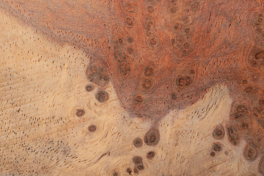 Detailed macro texture of natural amboyna wood burl featuring two-tone sapwood and heartwood with rich swirling grain patterns, eye spots, and organic timber surface structure.