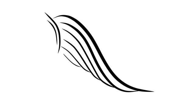 feather vector illustration