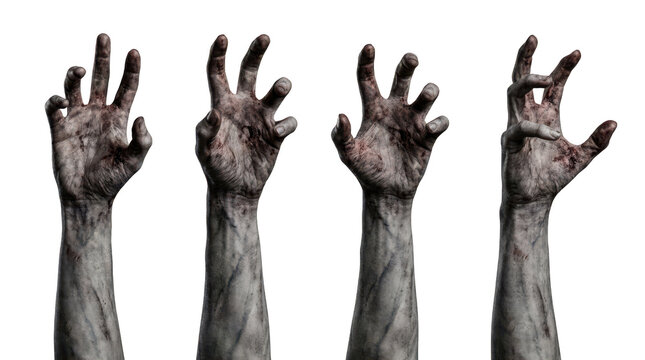 Set of four realistic zombie hands reaching upwards isolated on transparent background