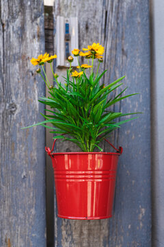 Yellow Flowers in Red Hanging Pot Against Weathered Wooden Door