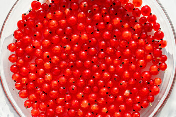 Clean homegrown red currants forming a vivid summer berry texture in sunlight © Irina
