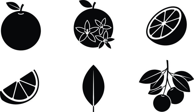 Citrus orange fruit silhouette icon set containing blossom flower slice leaf and branch vectors