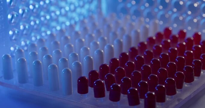 Red and white gelatinous capsule with liquid nitrogen on plastic blister tray conveyor, Pharmaceutical production factory, macro view.