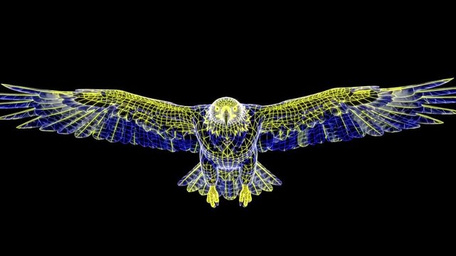 3D Wireframe Flying Eagle Hologram Motion Graphic