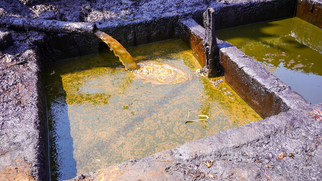 Crude oil flowing from an underground pipe into a traditional settling pool at the Wonocolo oil field in Bojonegoro, Indonesia. Highlighting heritage oil mining, extraction, and local energy industry.