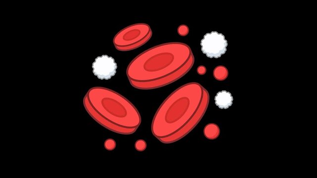 Blood Cells Medical Health Icon Animation with Transparent Background. Full HD. 4K
