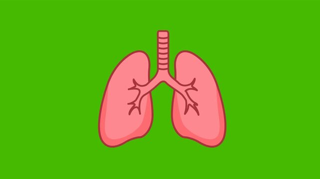 Lungs Respiratory Health Icon Animation with Green Background. Full HD. 4K