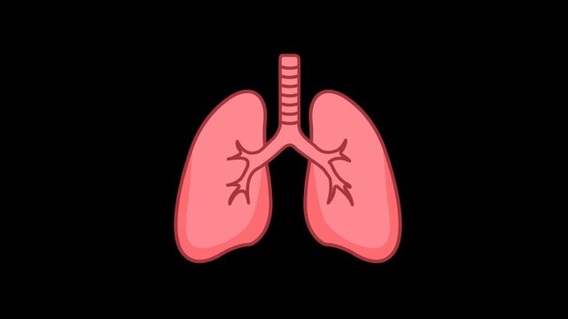 Lungs Respiratory Health Icon Animation with Transparent Background. Full HD. 4K