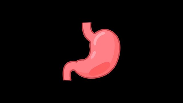 Digestive Health Medical Icon Animation with Transparent Background. Full HD. 4K