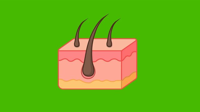 Skin Care Medical Health Icon Animation with Green Background. Full HD. 4K