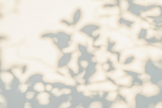 Abstract leaf and light shadow blurred background. Natural leaves tree branch shadows and sunlight overlay effect foliage mockup, graphic layout, wallpaper, design