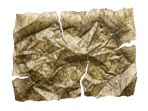 Wrinkled parchment paper reveals aged, crinkled texture in close-up view.