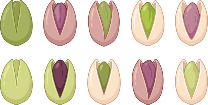 Pistachio nuts in cracked shells healthy snack set vector cartoon flat illustration