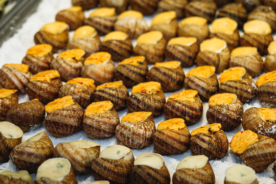 Stuffed escargot snails in shells