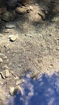 Clear, pure water flowing slowly through a brook and creek. Stones and twigs on the stream bed, the sky reflected on the water surface. Gentle ripples and small waves. Static vertical nature video.
