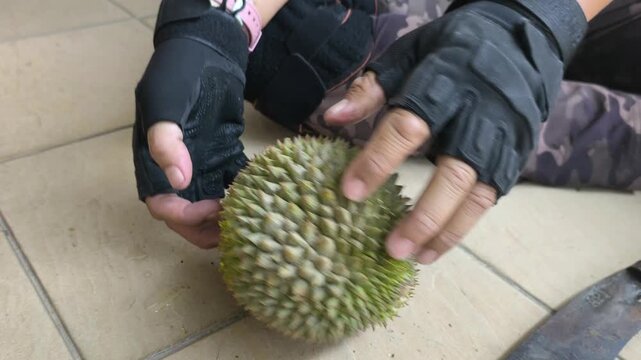 A person demonstrates the proper method to open a fresh durian. Using a sharp machete knife, they skillfully split the spiky husk. The rich yellow fruit pulp is neatly exposed.
