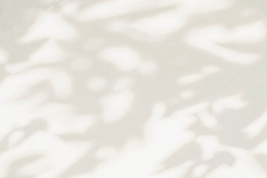 Light and shadow beige abstract blur background. Natural leaves shadows and sunshine diagonal refraction on white wall texture. Shadow overlay effect foliage mockup banner graphic layout