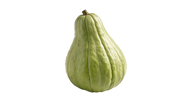 Whole fresh organic green winter wax gourd squash isolated on transparent background.