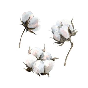 Hand-drawn watercolor illustration set of a cotton balls isolated on a white background. A winter collection element in cool shades of blue and pink.ool shades of blue and pink. 