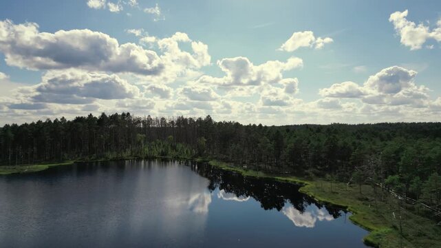 Vast aerial view of a dark blue bog lake in Latvia,  with reflections of white clouds in the water, bordered by a dense evergreen forest under a bright summer sky with fluffy cumulus clouds.