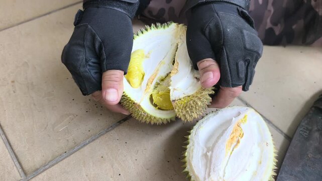 A person demonstrates the proper method to open a fresh durian. Using a sharp machete knife, they skillfully split the spiky husk. The rich yellow fruit pulp is neatly exposed.
