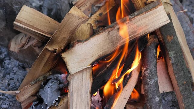 Slow-motion close-up video of split firewood arranged over an active fire. Orange flames move between the wooden logs as their surfaces gradually darken and char