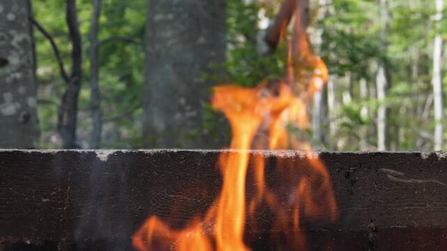 Cinematic slow motion of combustion, traditional campfire, outdoor cooking and camping, warmth, natural fuel and the elemental transformation of wood into fire