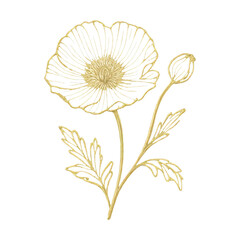 Obraz premium PNG Elegant golden floral line art.