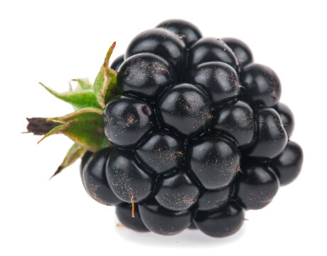 Blackberry isolated on a white background.