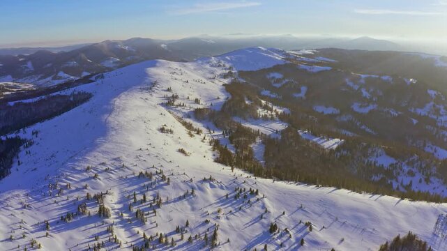 High snowy mountain covered with evergreen fir trees on a sunny cold day