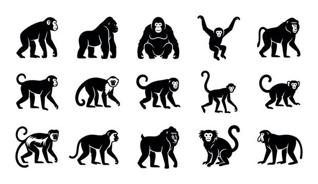 Primates vector icons with chimpanzee, gorilla and orangutan for mobile app design in solid glyph style.