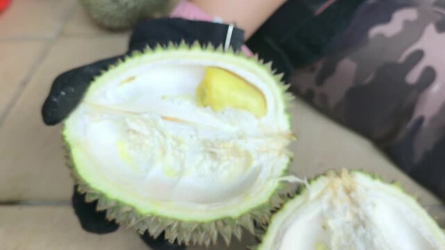 A person demonstrates the proper method to open a fresh durian. Using a sharp machete knife, they skillfully split the spiky husk. The rich yellow fruit pulp is neatly exposed.
