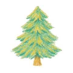 Obraz premium PNG Hand-drawn evergreen tree illustration.