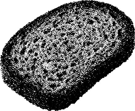 Halftone stippled retro black sponge with grunge dotted texture on transparent background