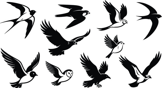A collection of various artistic bird silhouettes captured in different flight patterns and poses presented as a minimalist black and white set