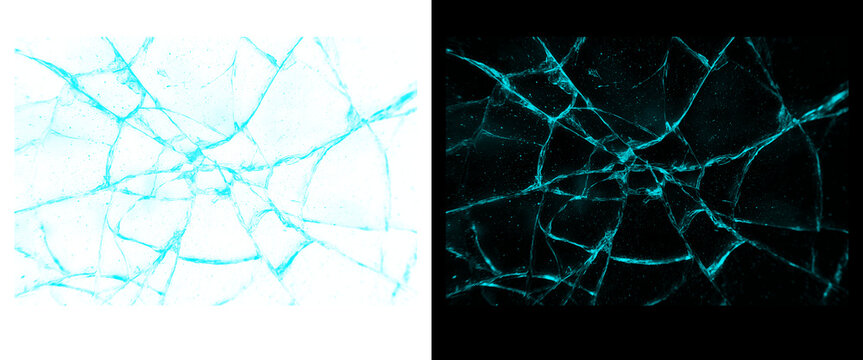 Shattered glass texture with cyan glowing cracks, broken ice surface on black and white backgrounds, abstract fractured glass web for digital overlays