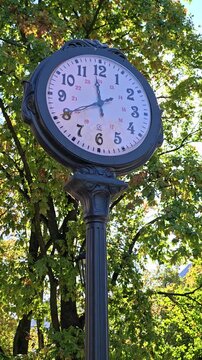 A clock mounted on a pole stands in front of a tree