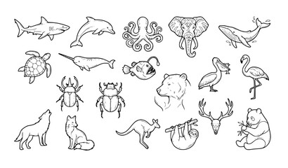 Fototapeta premium Wildlife and aquatic animal contour illustrations for modern nature themed graphics