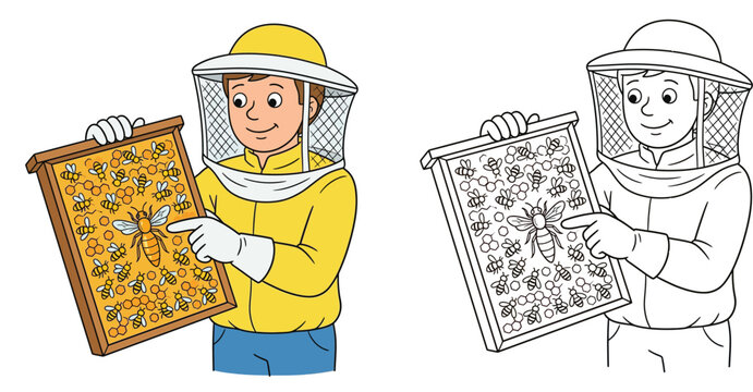 Cartoon Beekeeper Pointing at Queen Bee on Honeycomb Frame Coloring Page and Colored Character Vector Illustration