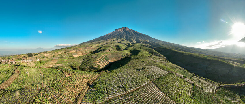 Aerial view of Glapansari Tobacco Plantation with terraced fields on the slopes of Mount Sindoro under a clear blue sky in Parakan, Central Java, Indonesia.