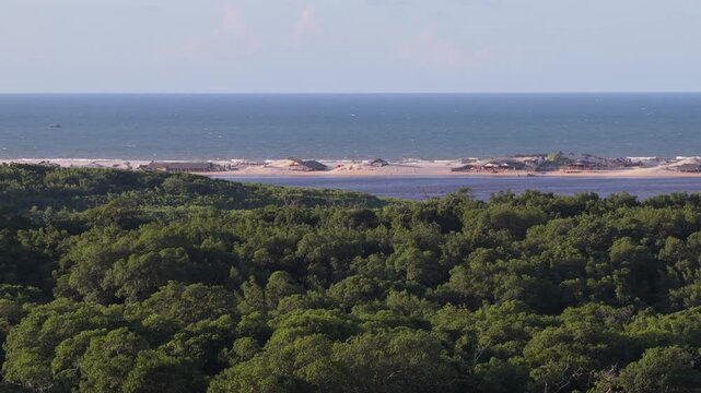 Aerial view of Mandacaru mangrove forest and river, Brazil.