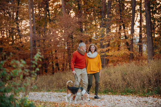Senior couple walking dog in autumn forest.